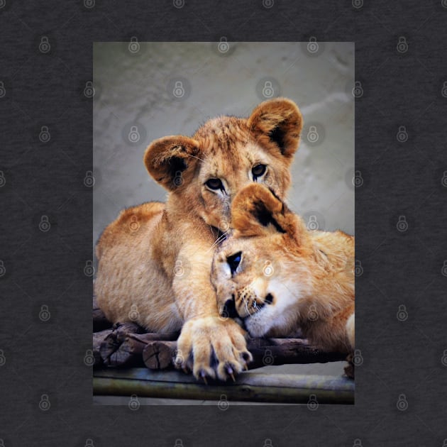 Lion Cubs by Fitra Design